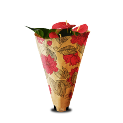 Bloom Guard Verpackungen für Blumen und Kräuter von WEBER Verpackungen - Die Tütenmacher