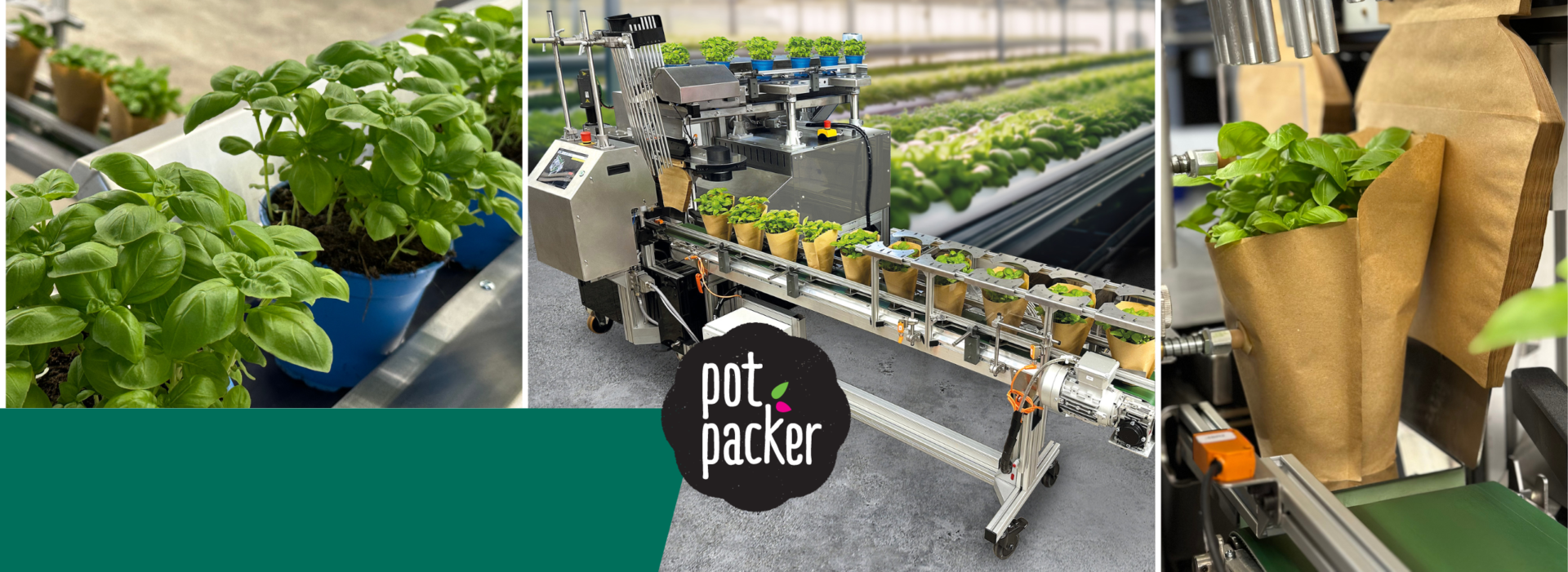 Der pot packer von WEBER Verpackungen - die innovative Verpackungsmaschine für Topfpflanzen, Blumen und Kräuter