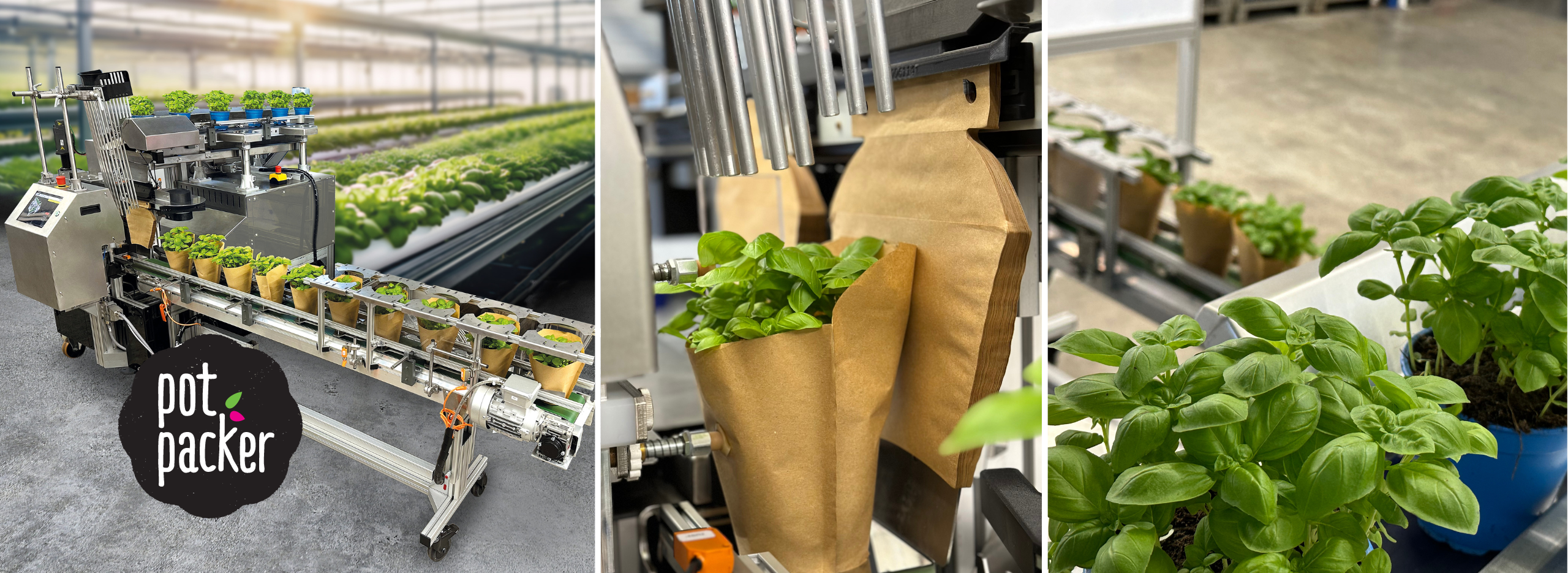 Der pot packer von WEBER Verpackungen - die innovative Verpackungsmaschine für Topfpflanzen
