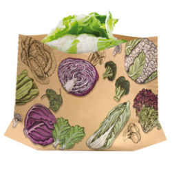Salat Verpackung aus Papier